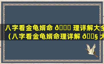 八字看金龟婿命 💐 理详解大全（八字看金龟婿命理详解 🐧 大全图）